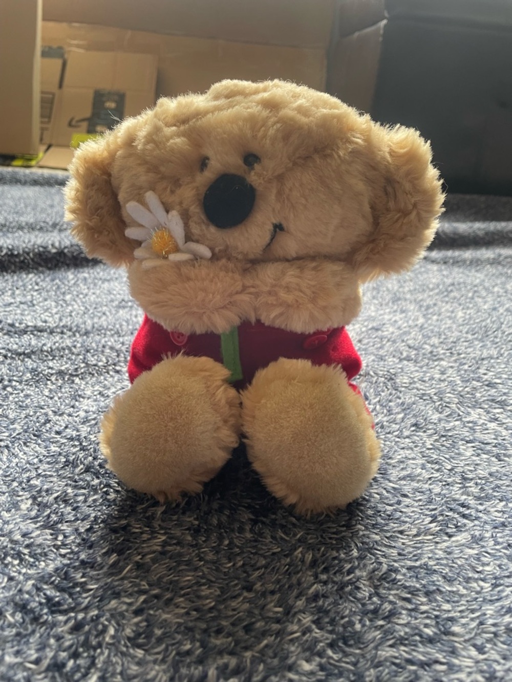 Boomerang Bear - Vintage